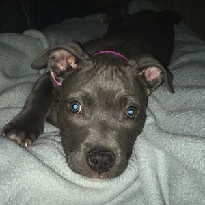 Meet your Posher, Elise